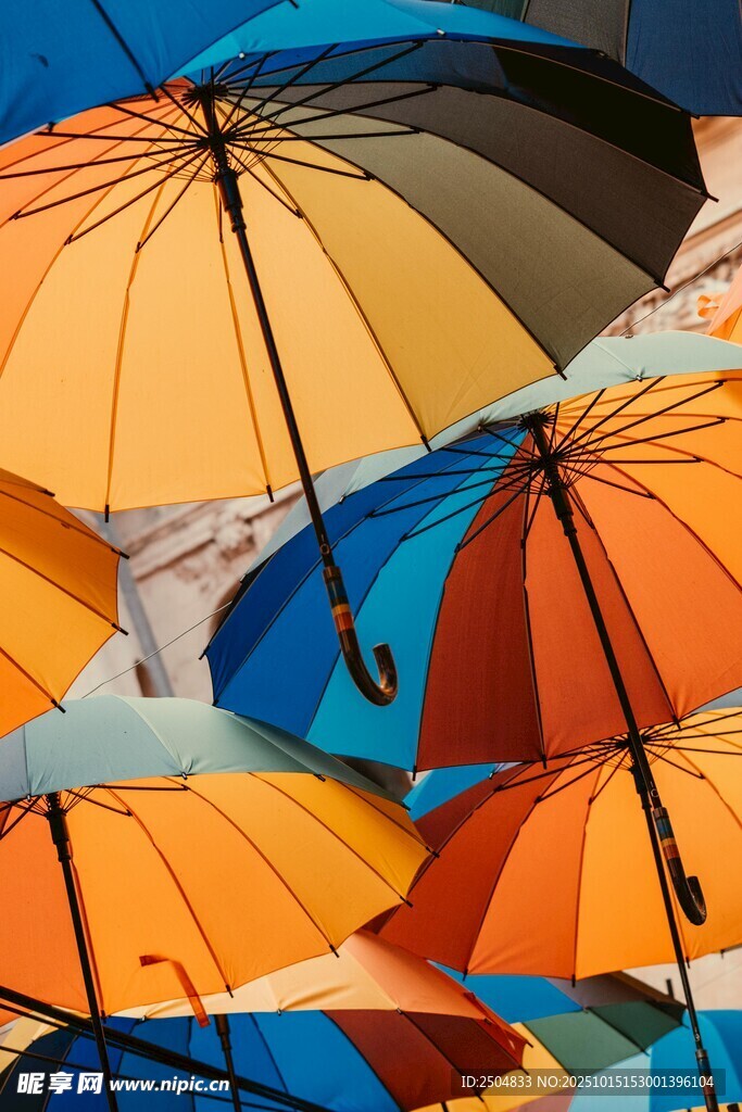 多彩雨伞汇聚的视觉盛宴