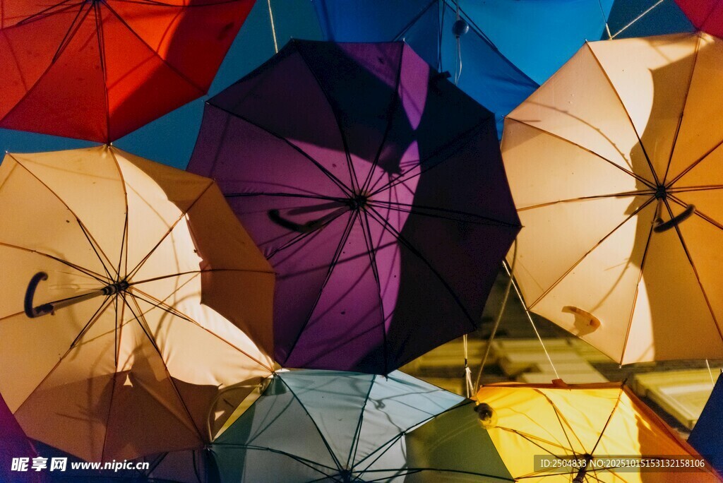 多彩雨伞悬挂展示