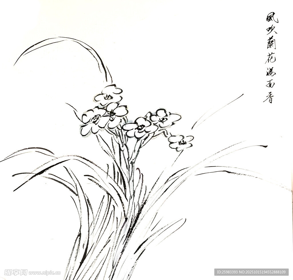水墨兰花图