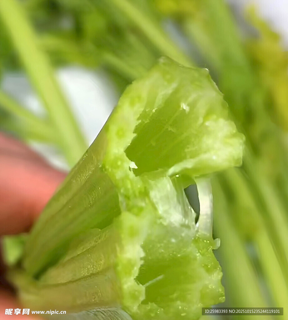 芹菜