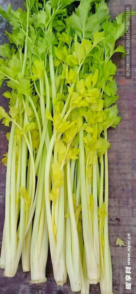 芹菜
