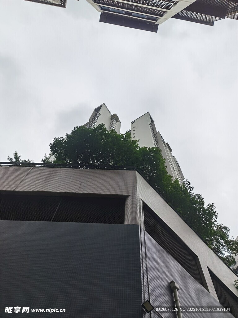 屋顶绿植装点现代建筑