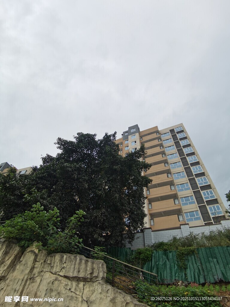 高层住宅旁的繁茂绿植