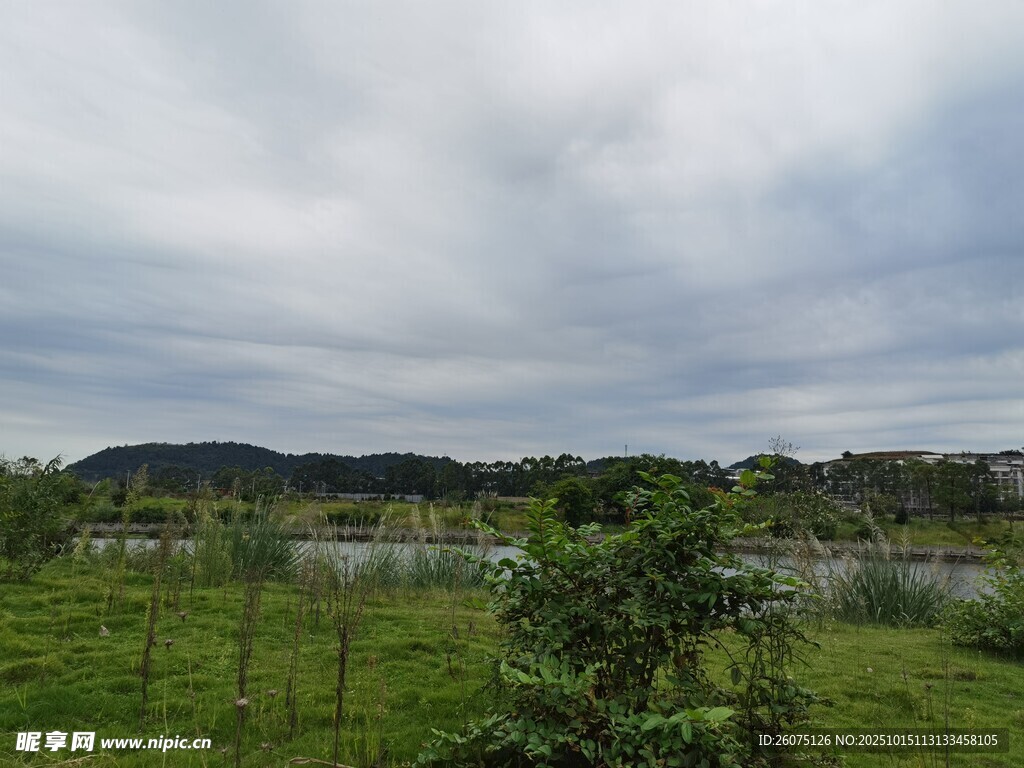 田园风光中的绿植与远山