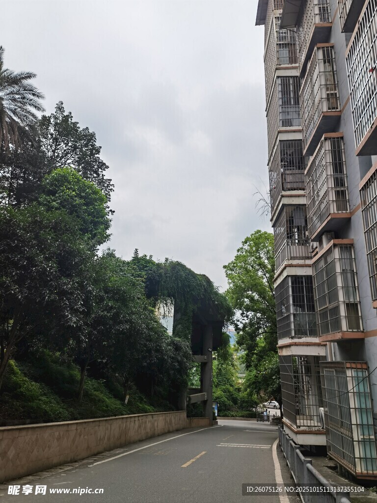 城市中安静的居民楼街道