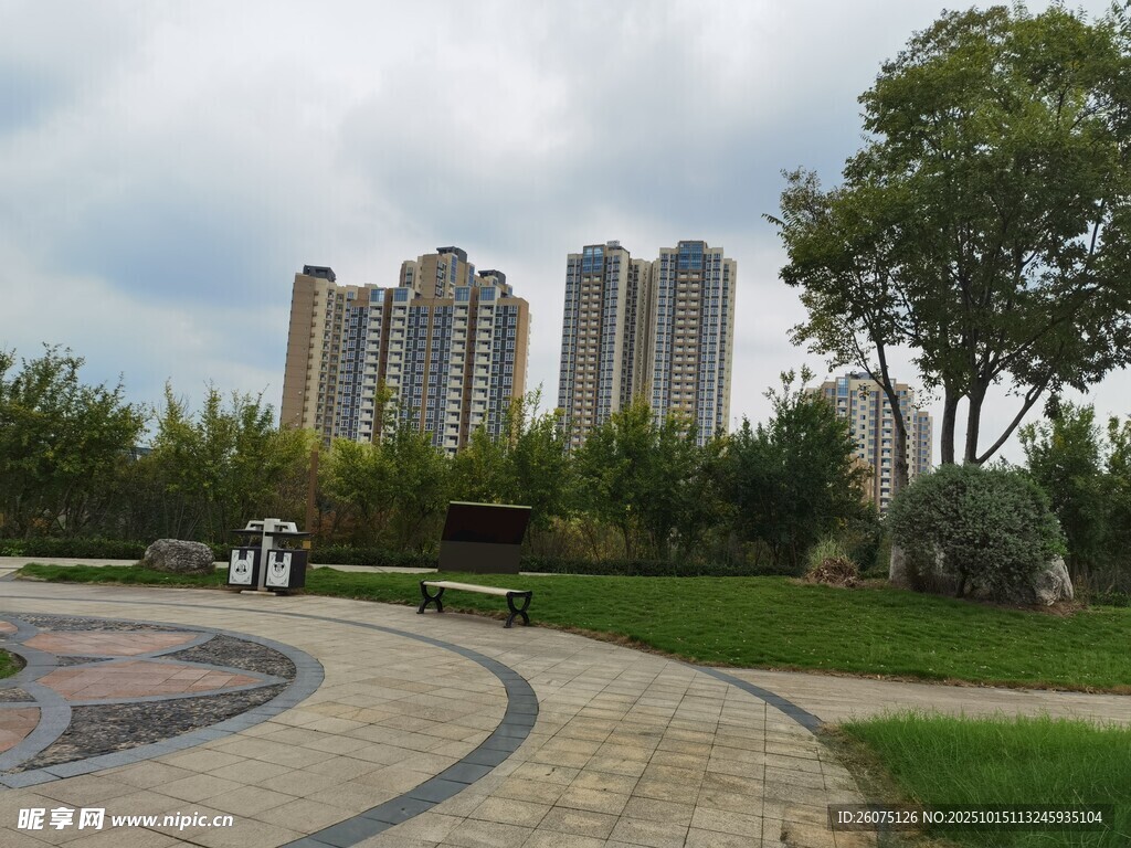 城市公园中的高楼景观