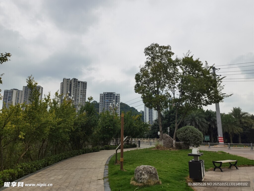城市公园中的静谧小径