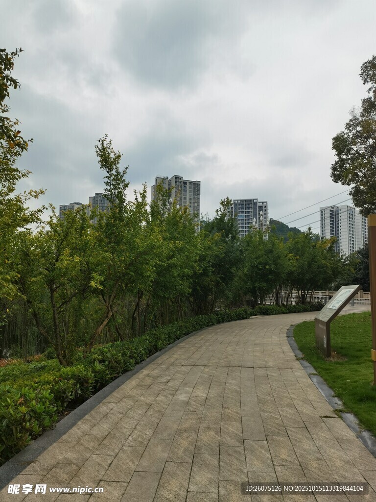 城市林荫步道景色