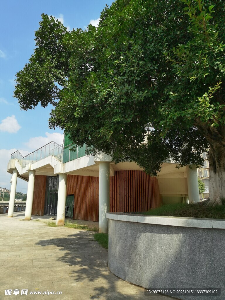 绿树掩映下的建筑一角