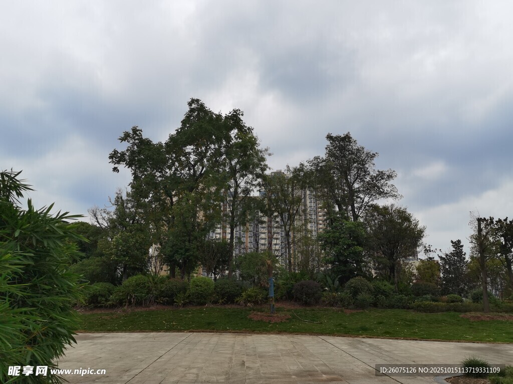 户外树林边的开阔场地