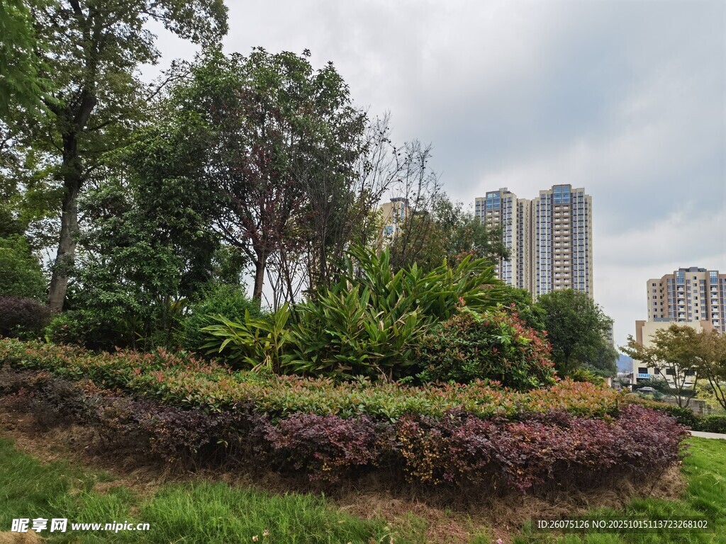 城市中的绿植景观