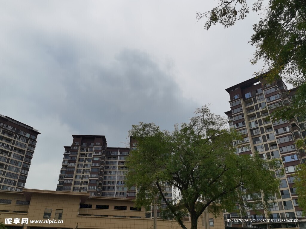 城市高楼与绿树景观