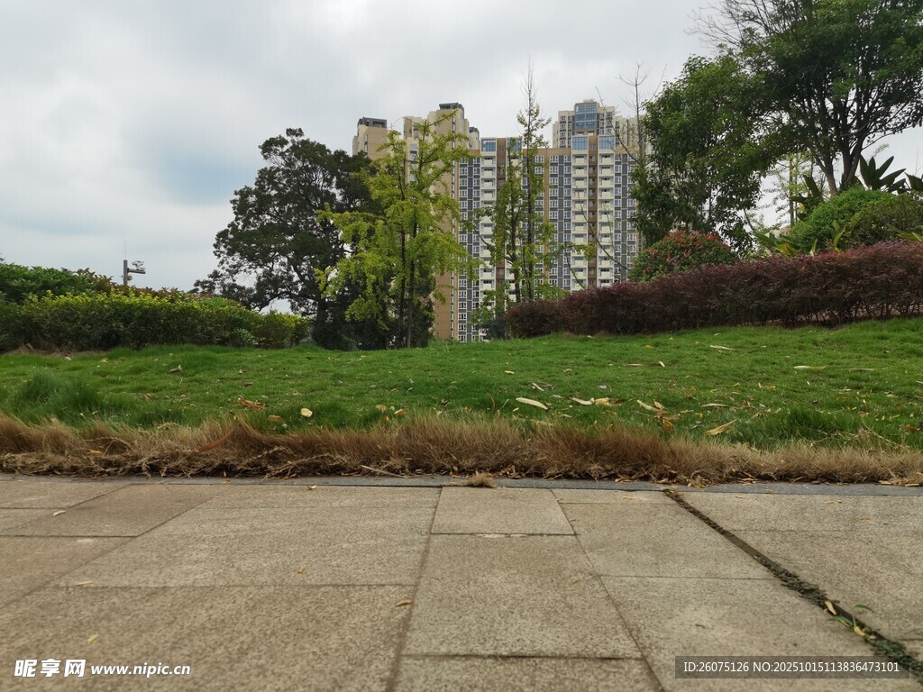 城市草地与高楼景观