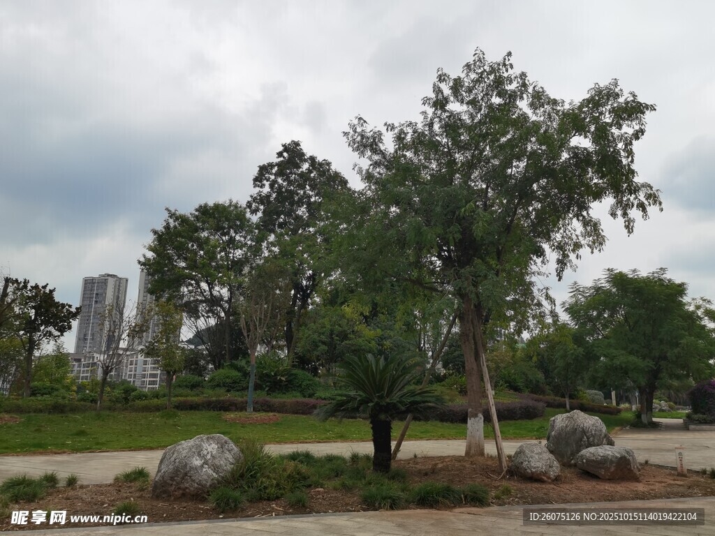 户外绿树草地景观