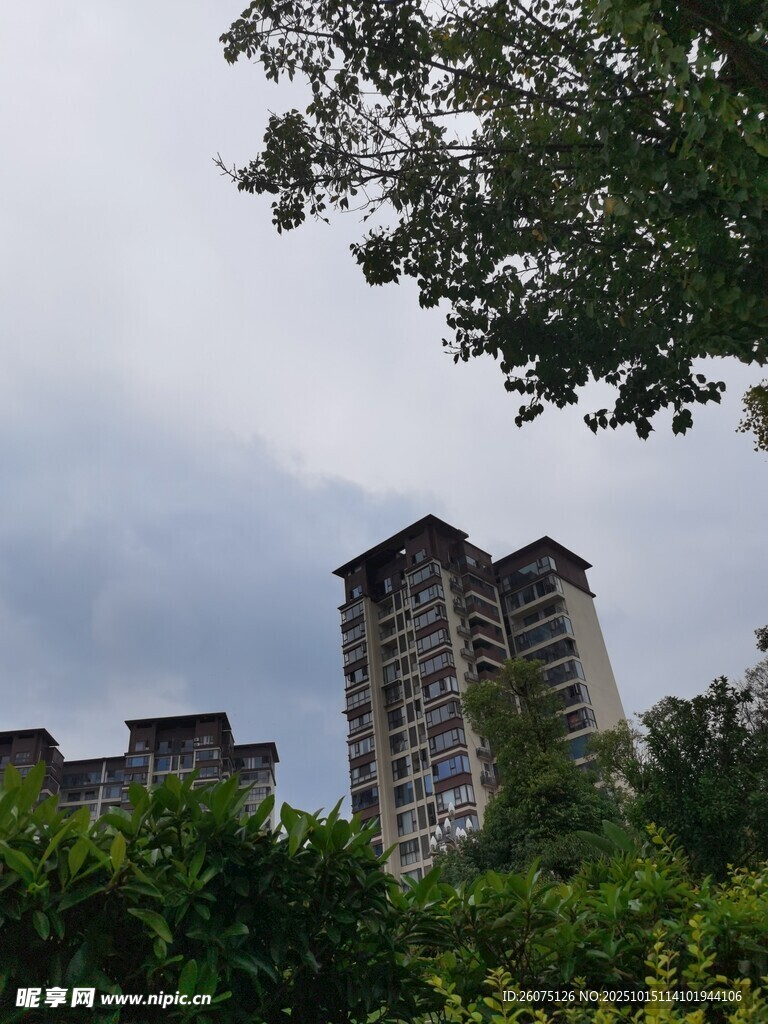 绿树掩映下的高层住宅