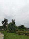 雨中绿意盎然的园林景致