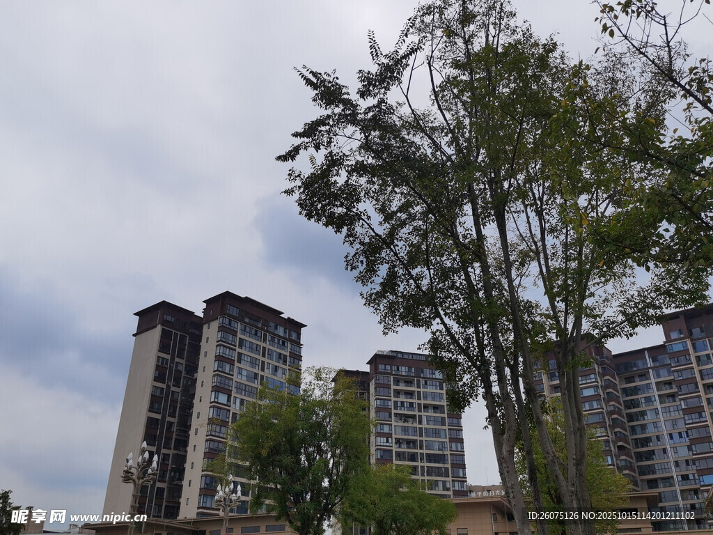 城市中的高层住宅与绿树