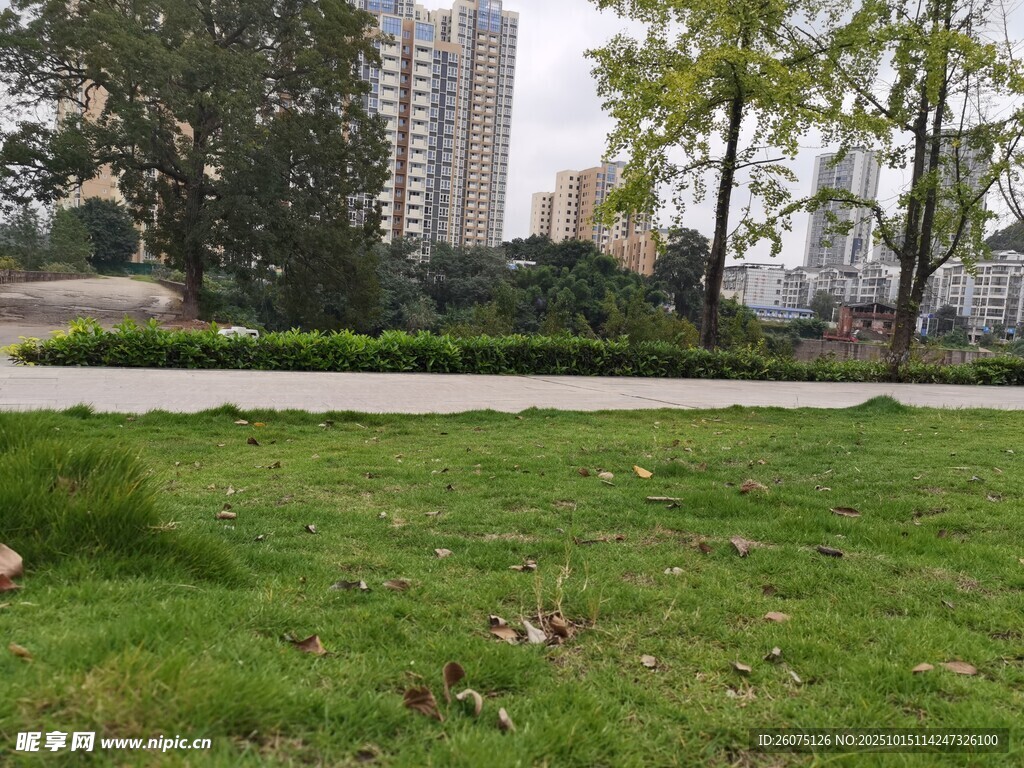 城市中的绿意草坪景观
