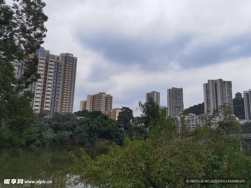 城市河畔高楼与绿植景观