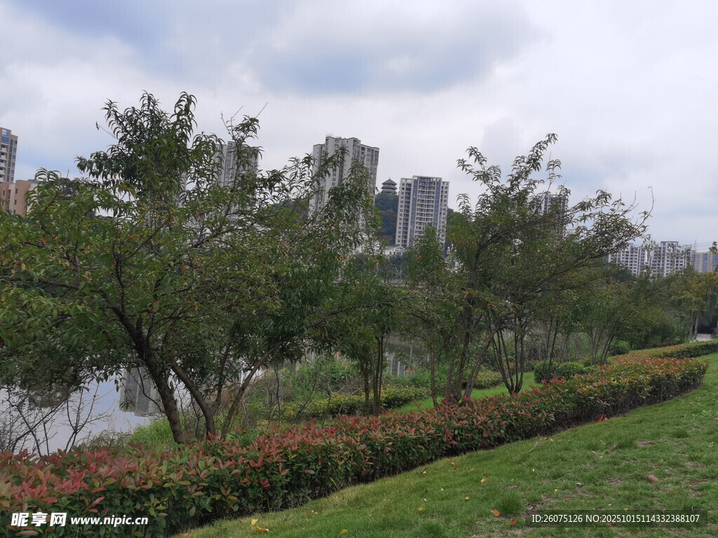 城市河畔绿植景观