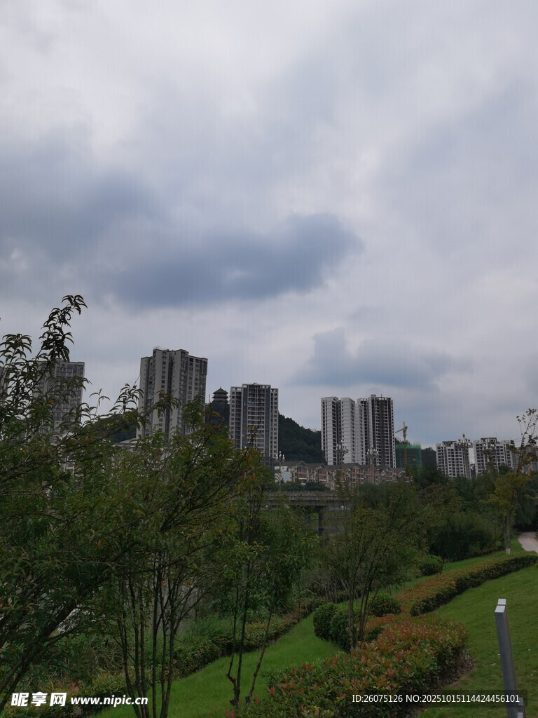 城郊风光楼宇隐于绿树间