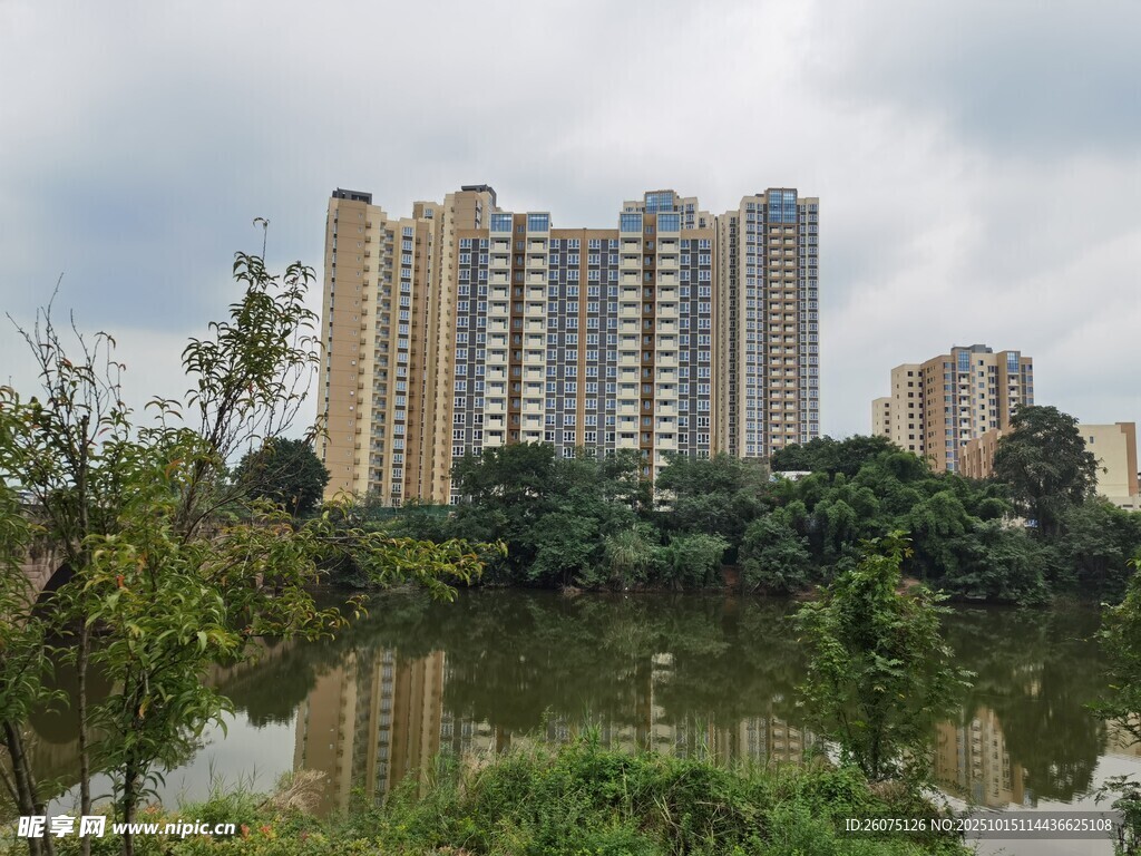河畔高楼与绿植景观