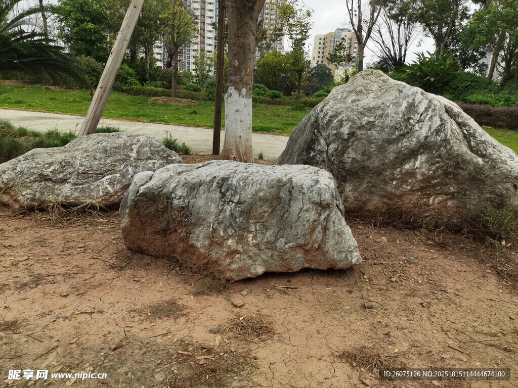 园林中的景观石