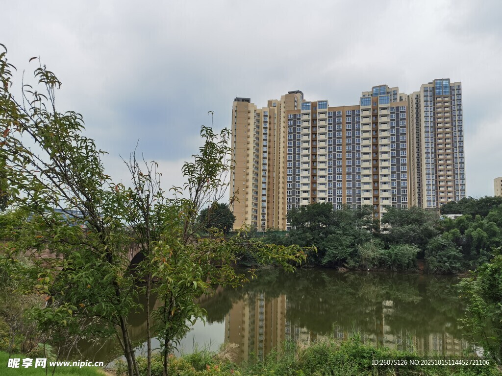 湖畔高楼林立的城市景致