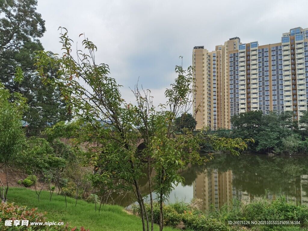 湖畔绿树环绕的高层住宅