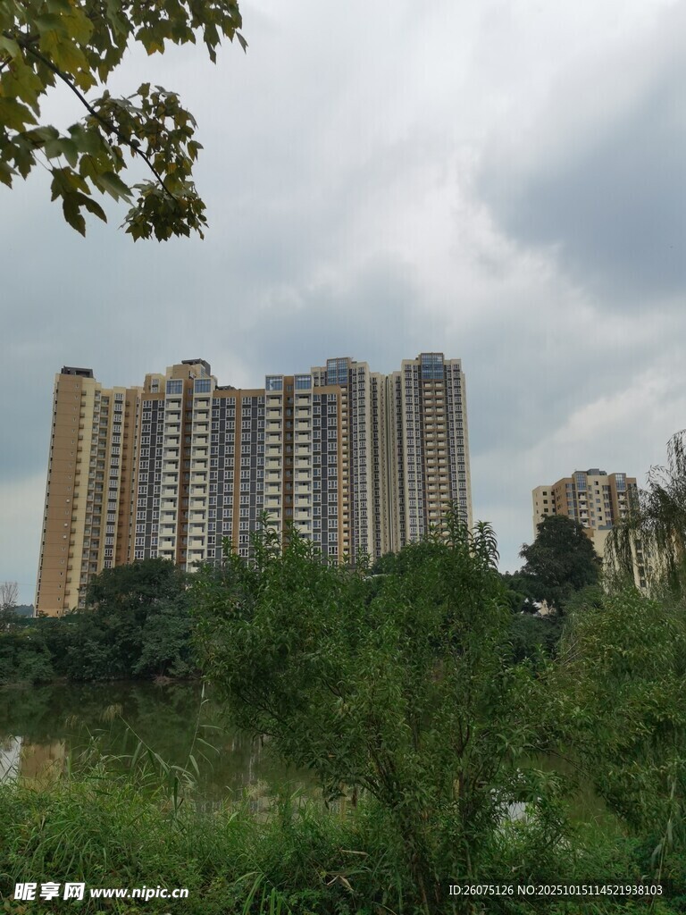绿树环绕的高层住宅楼