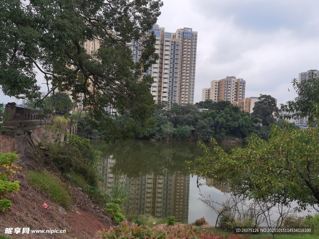 城市湖畔风景