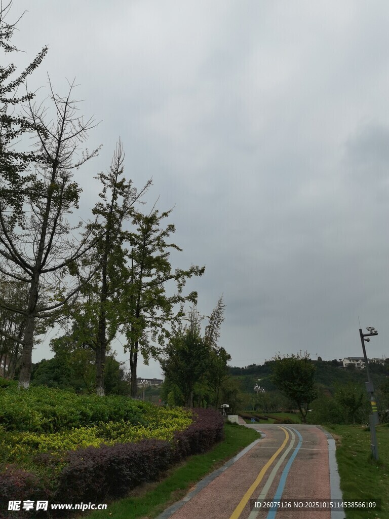 雨后公园彩色步道风景