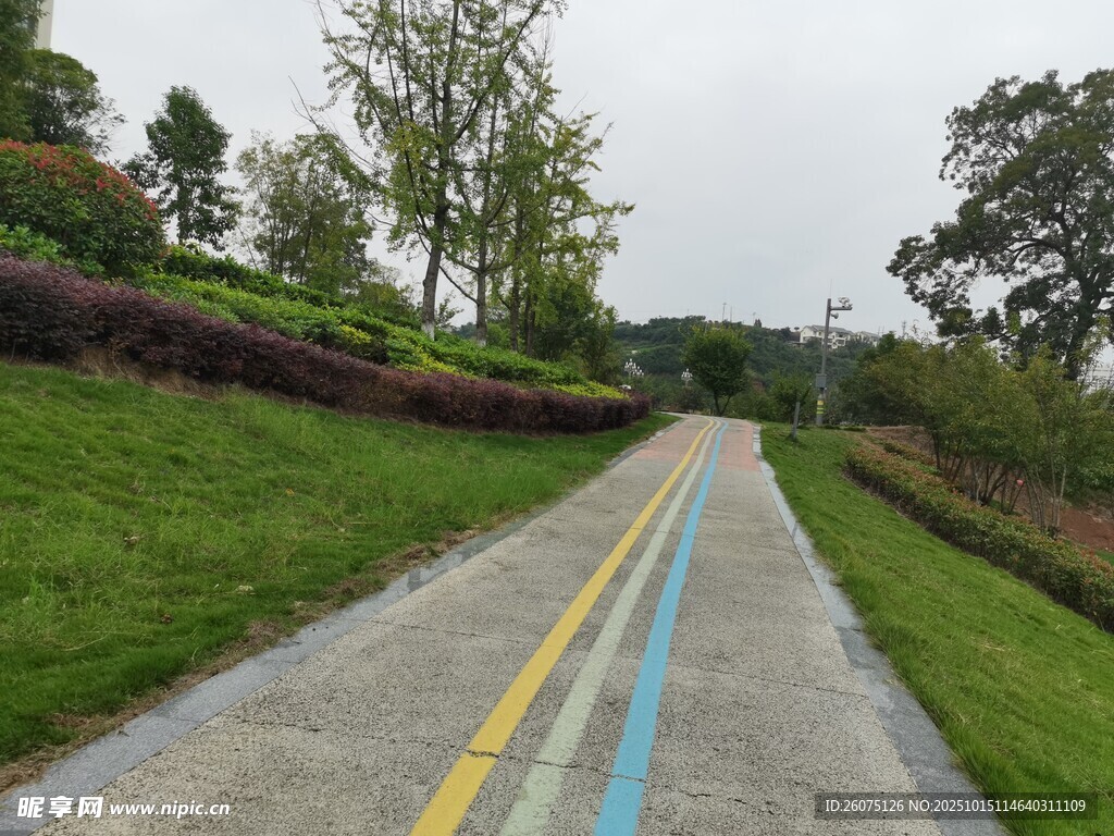 乡村彩色公路风景