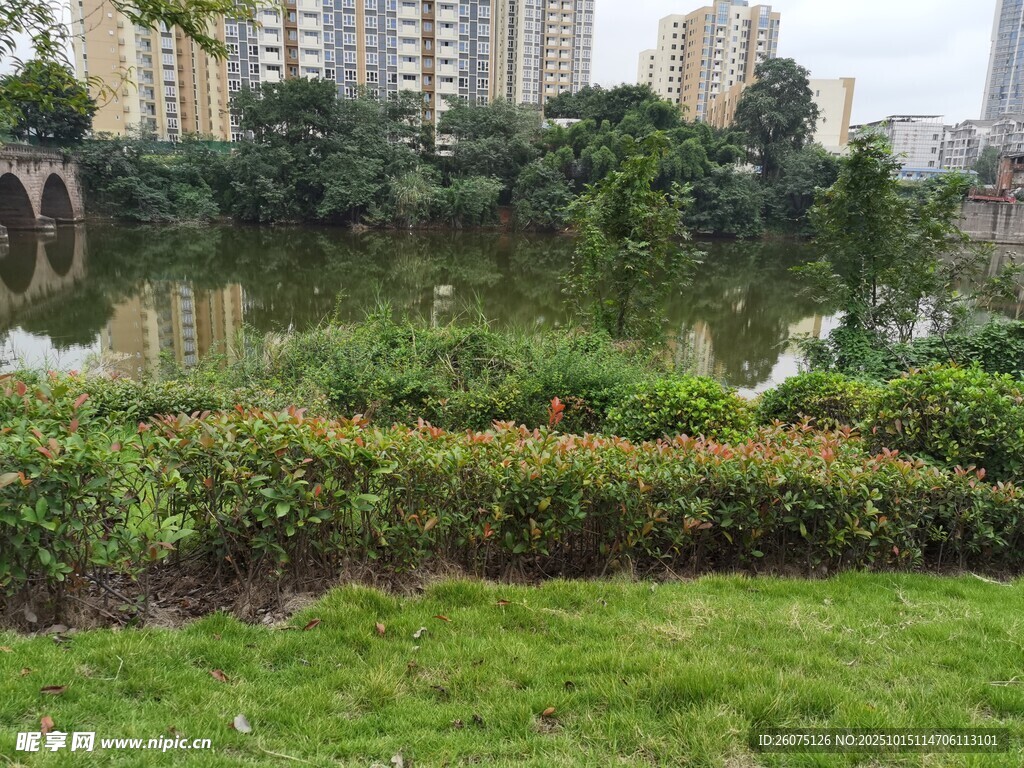 城市河畔绿意盎然景观