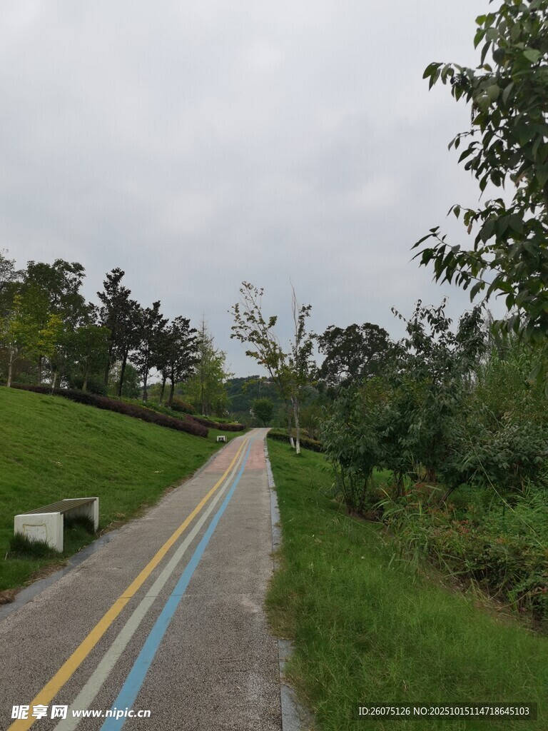 雨中乡间彩色小路风景