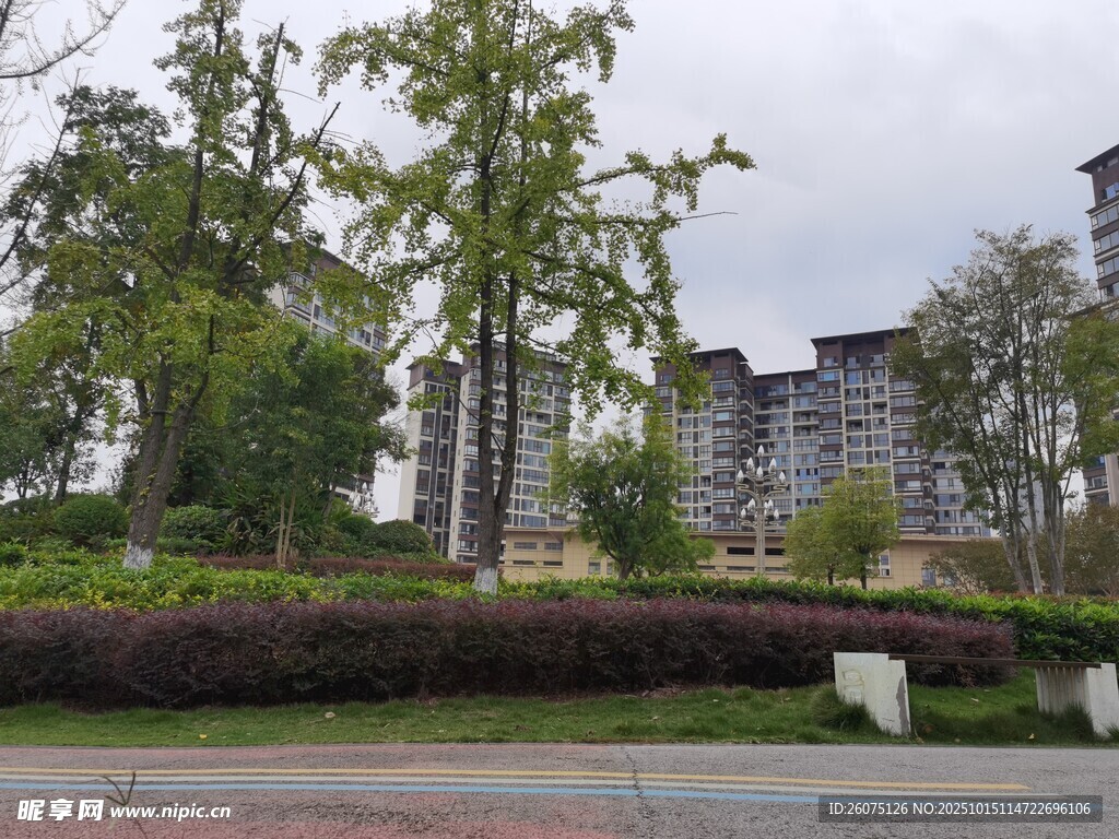 城市街边绿植景观