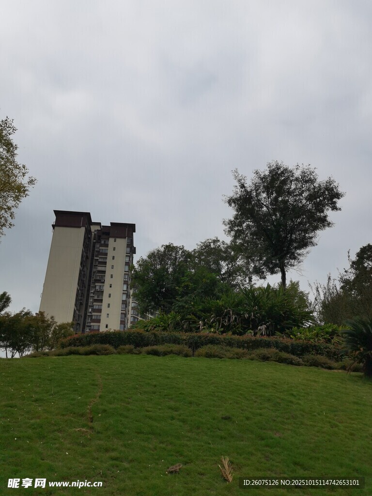 草地旁的高楼与绿树景观