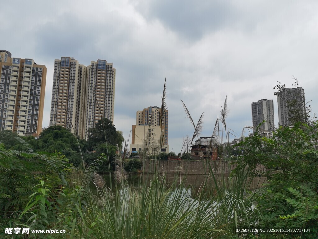 城市工地旁的绿植景观