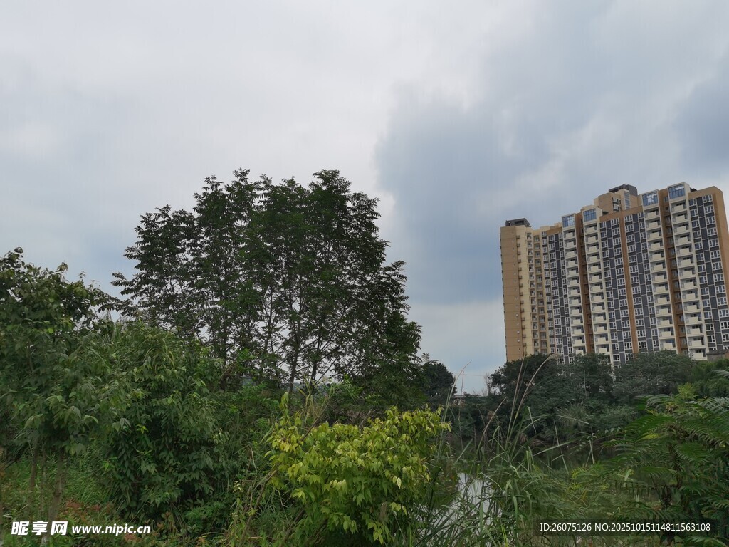 绿树环绕的高层住宅楼
