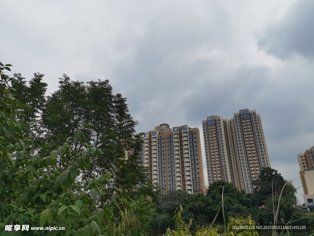 绿树掩映下的高层住宅区
