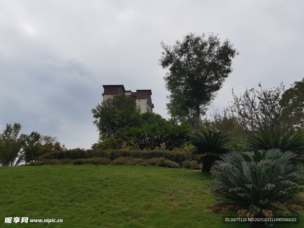 山坡上的建筑与绿植景观