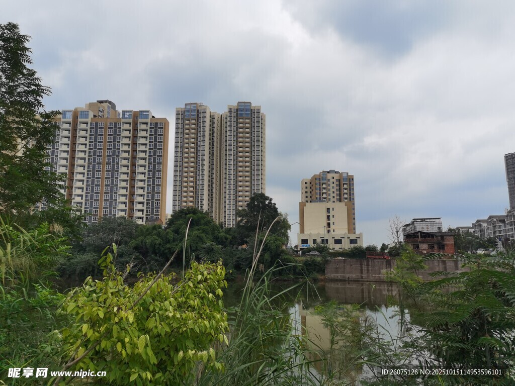 河畔高楼与绿植景观