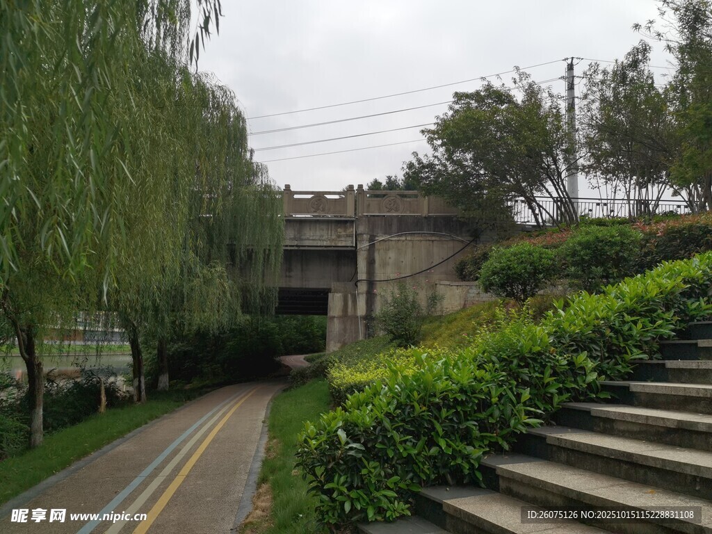 蜿蜒小路旁的绿植与建筑