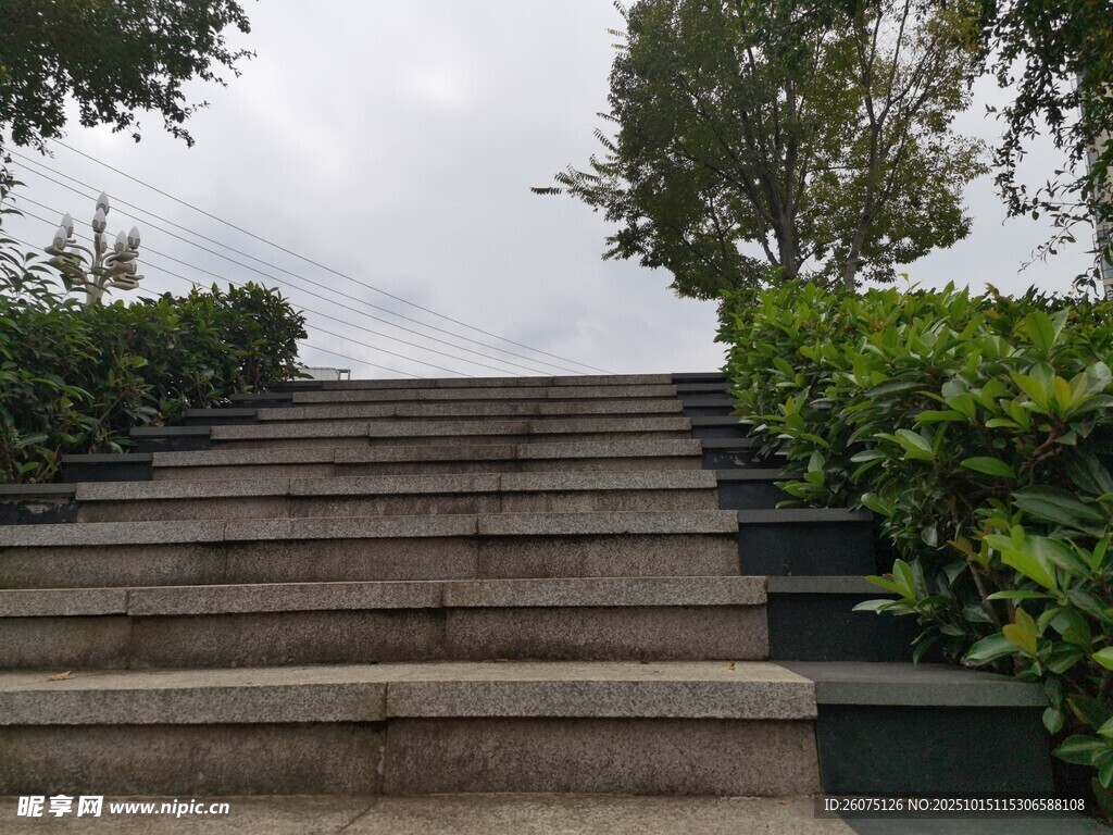 石阶漫步绿植相伴