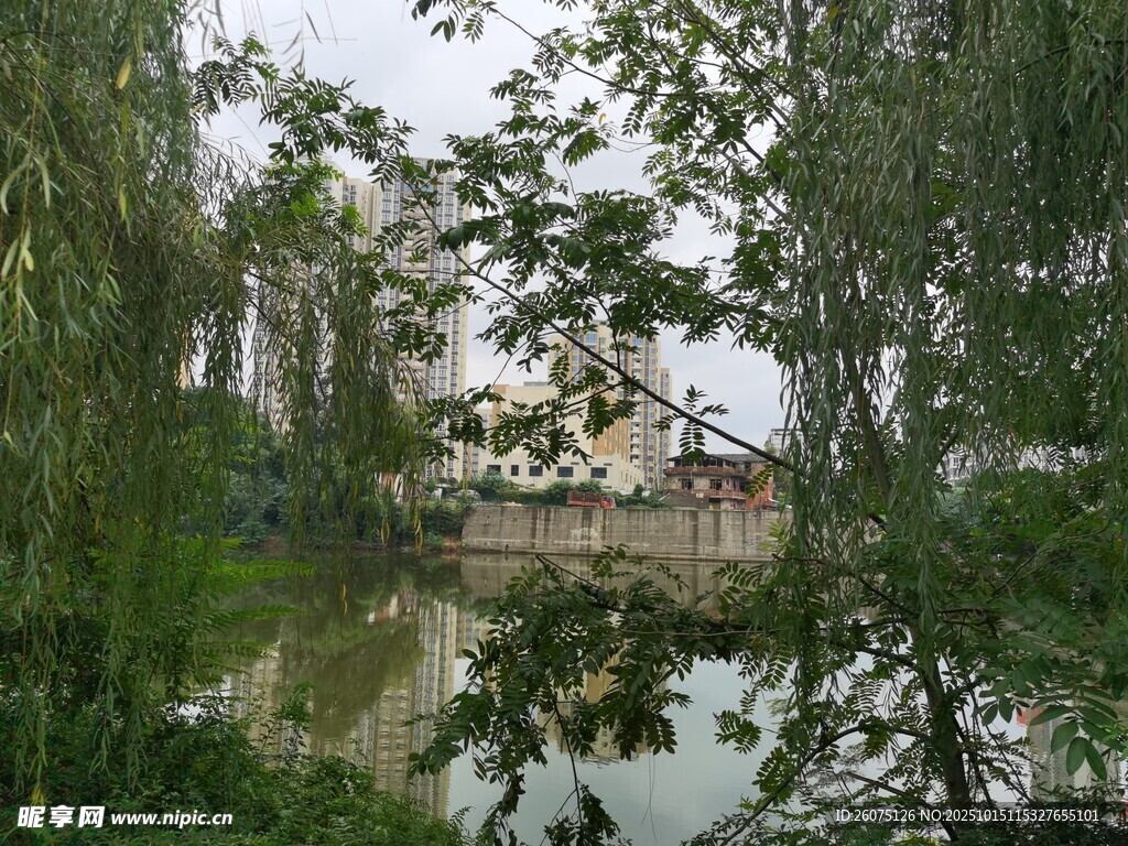 湖畔柳影中的中式建筑