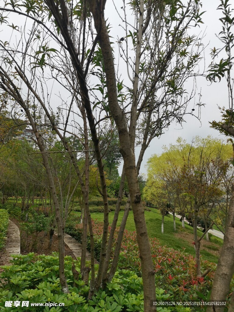 春日园林景致