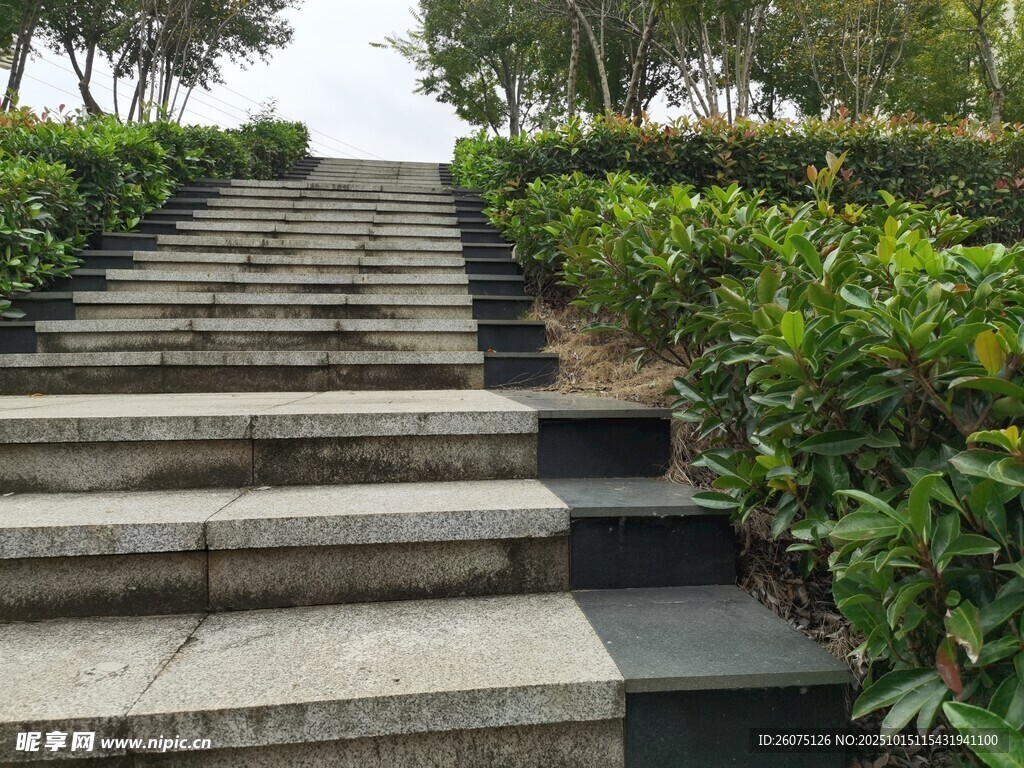 石阶小径绿植相伴
