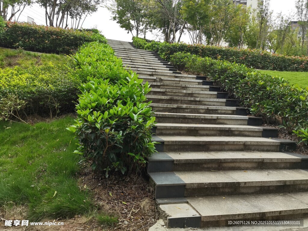 户外石阶旁绿植景致