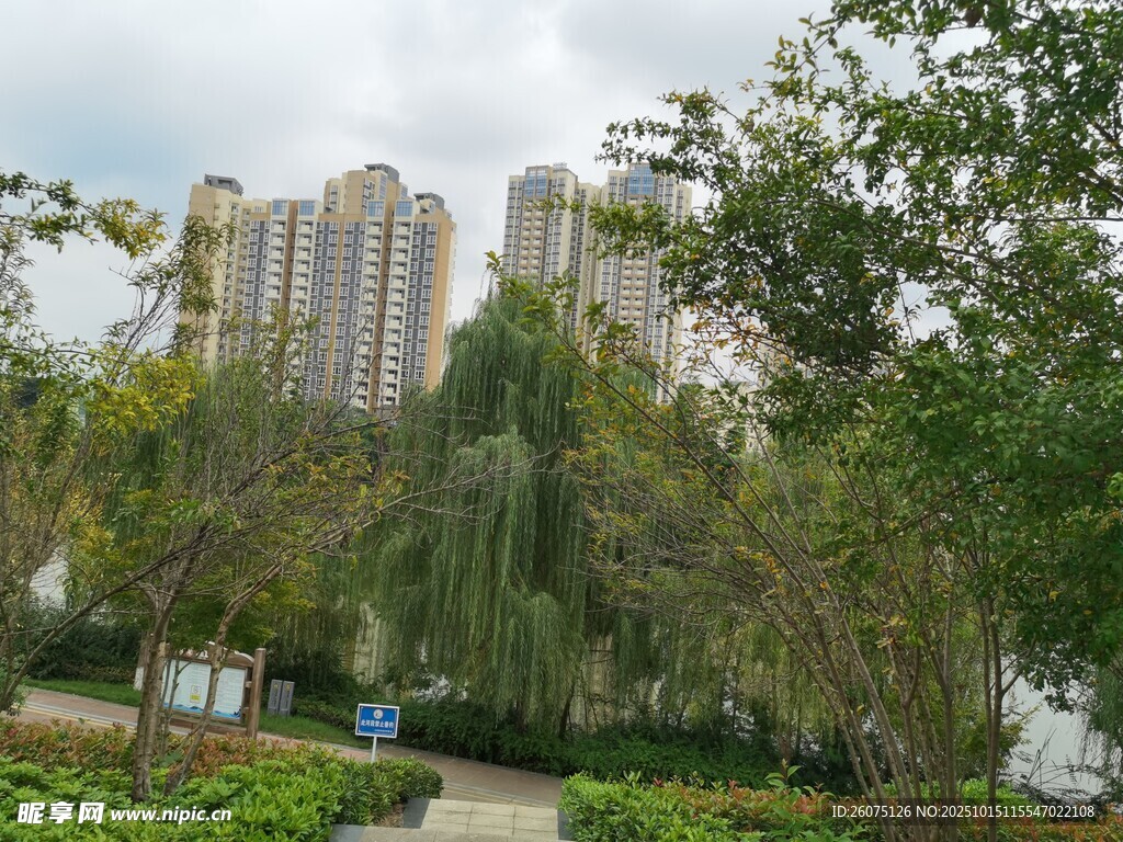 湖畔绿树环绕的高楼景观