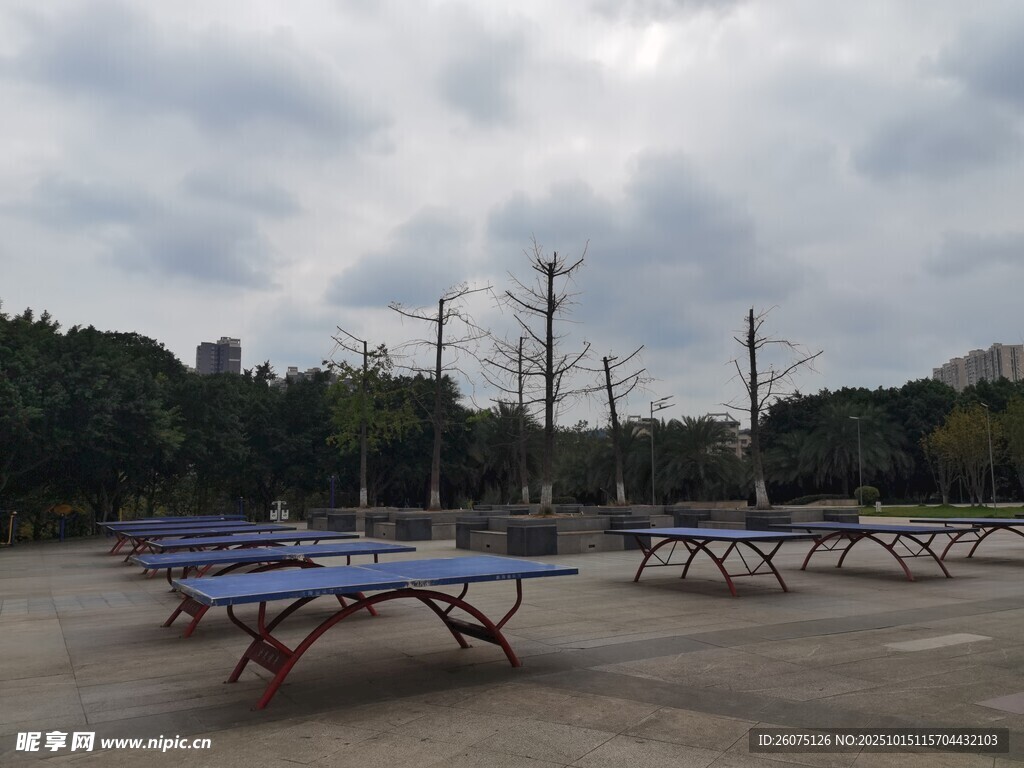 户外空旷处的多张乒乓球桌